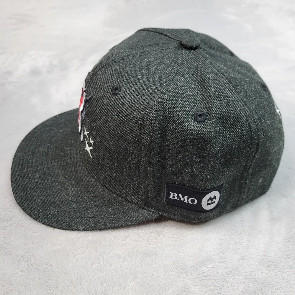 Chicago Bulls Hat Cap Mens Grey Charcoal Snapback Logo Artist Series Miss Merlot
